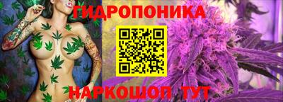 хмурый Шебекино