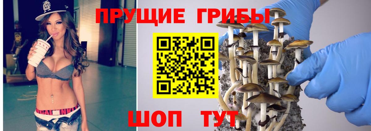 Медногорск  Галлюциногенные грибы мухоморы  Галлюциногенные грибы GOLDEN TEACHER  Вход с VPN 